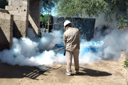 Salud insiste en reforzar la prevención del dengue ante las lluvias