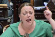 “Usted está pasándose de vivo”: así fue el picante inicio de sesión en Diputados